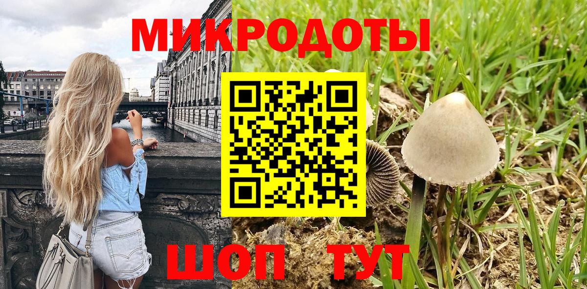 Галлюциногенные грибы Magic Shrooms Можайск