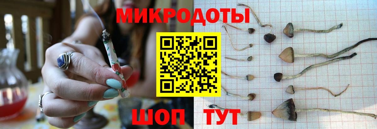 Псилоцибиновые грибы Psilocybe  Галлюциногенные грибы прущие грибы  Вход с VPN  Можайск 